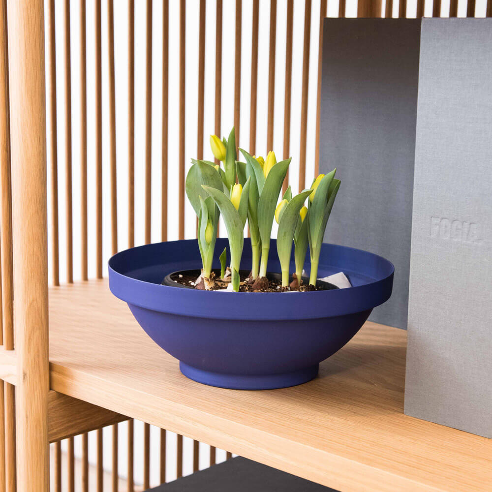 כד - קערת הפירות