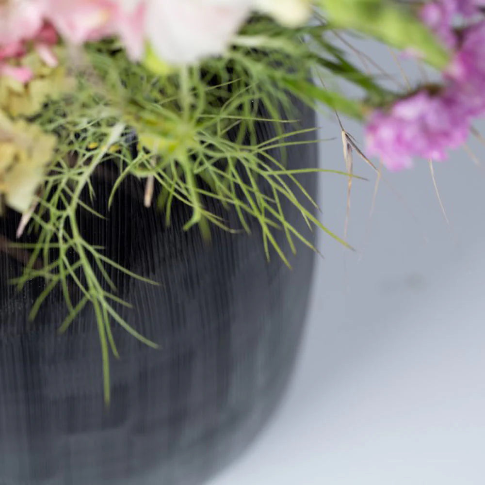 כלי Clemente - אמטיסט