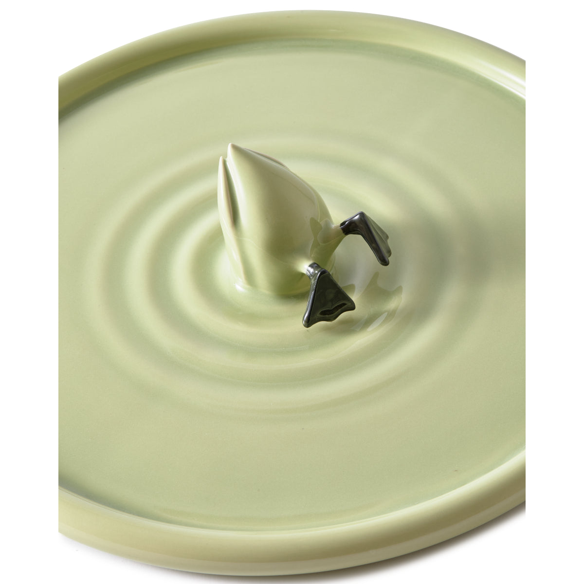 Diving Duck Plate Green