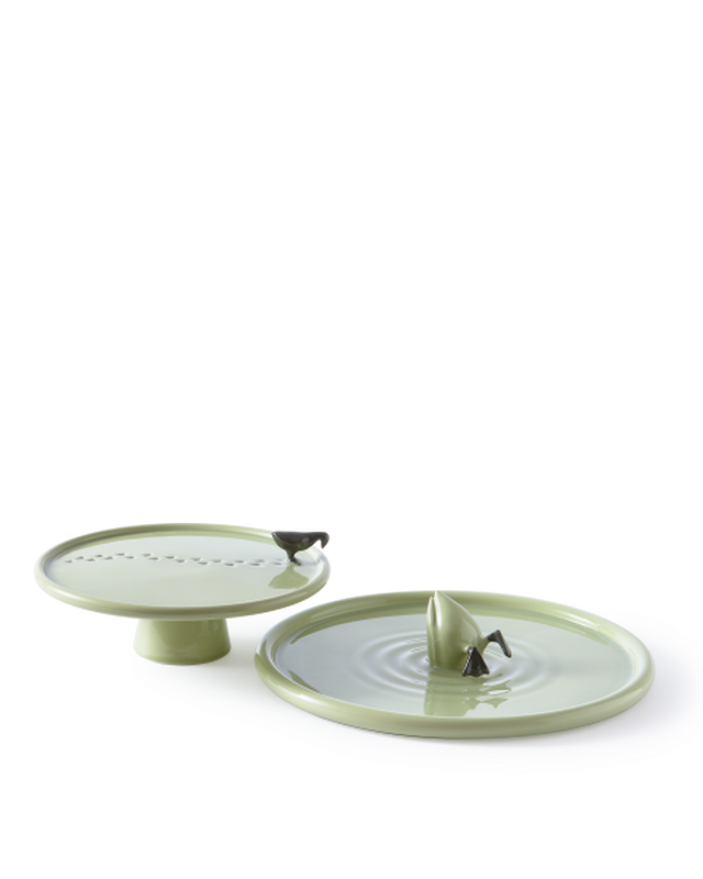 Diving Duck Plate