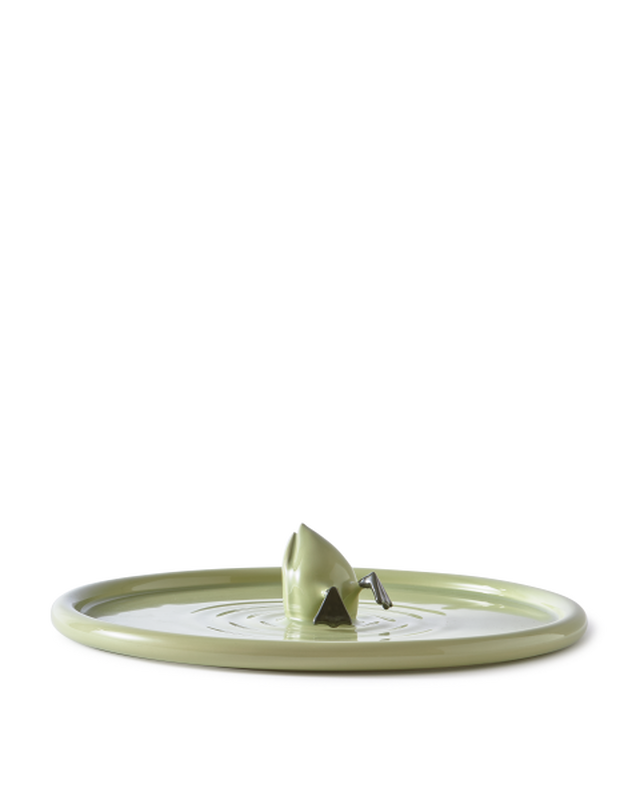 Diving Duck Plate